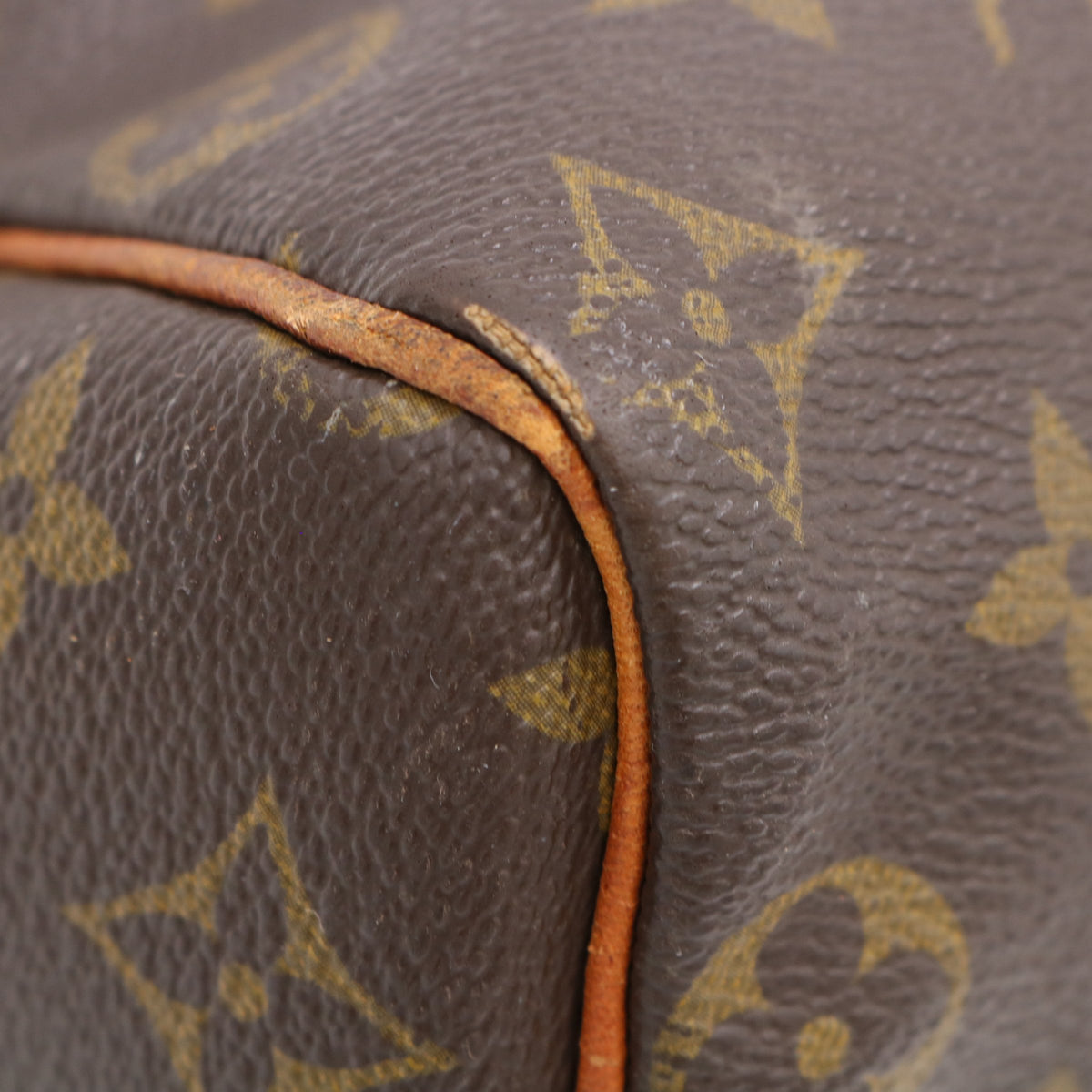 Monogram Speedy 25 M41528 Satchel/Top Handle Bag Brown