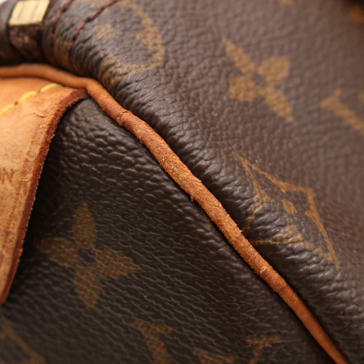 Monogram Speedy 25 M41528 Satchel/Top Handle Bag Brown