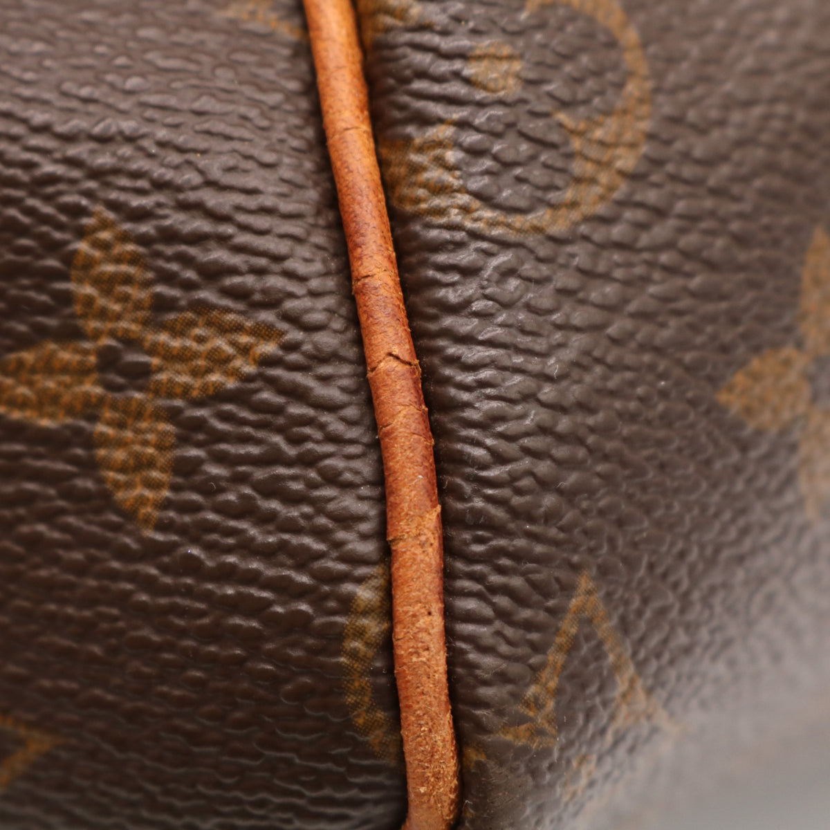 Monogram Speedy 25 M41528 Satchel/Top Handle Bag Brown