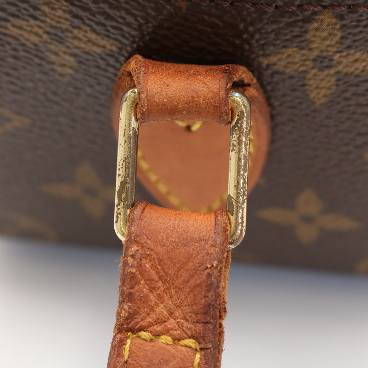 Monogram Blois M51221 Crossbody Brown