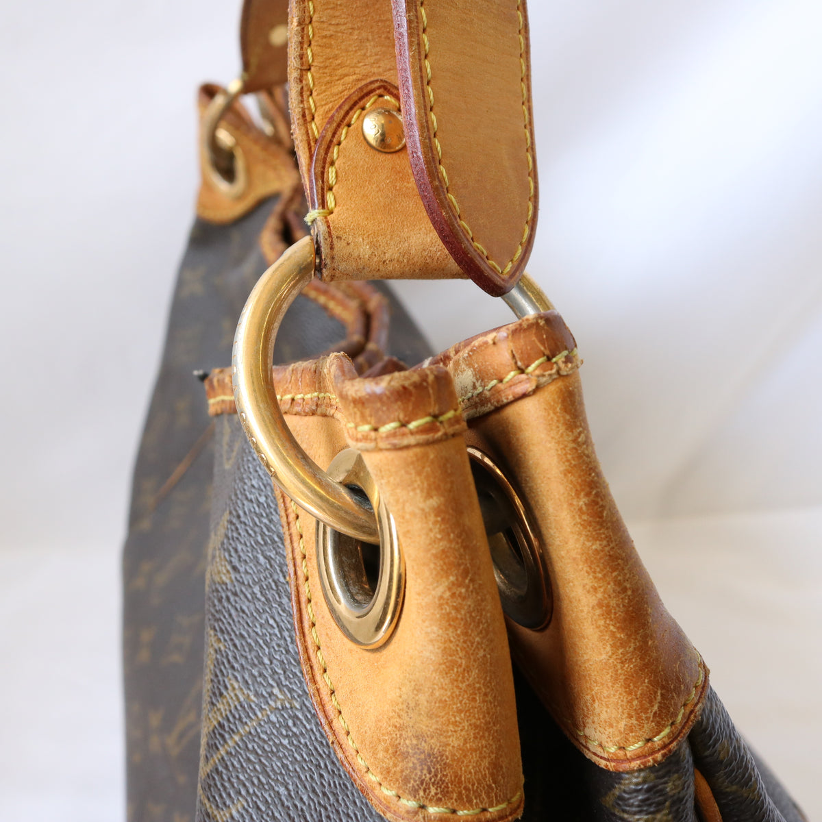 Monogram Galliera PM M56382 Hobo Bag Brown