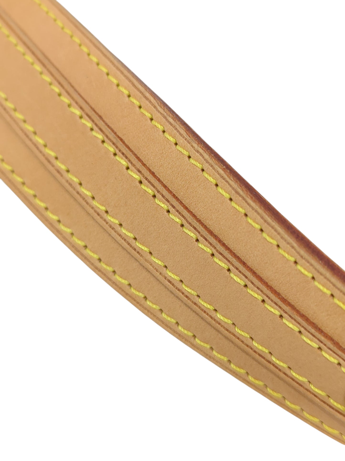 Louis Vuitton M40054 モノグラム マルチカラー ロッジPM