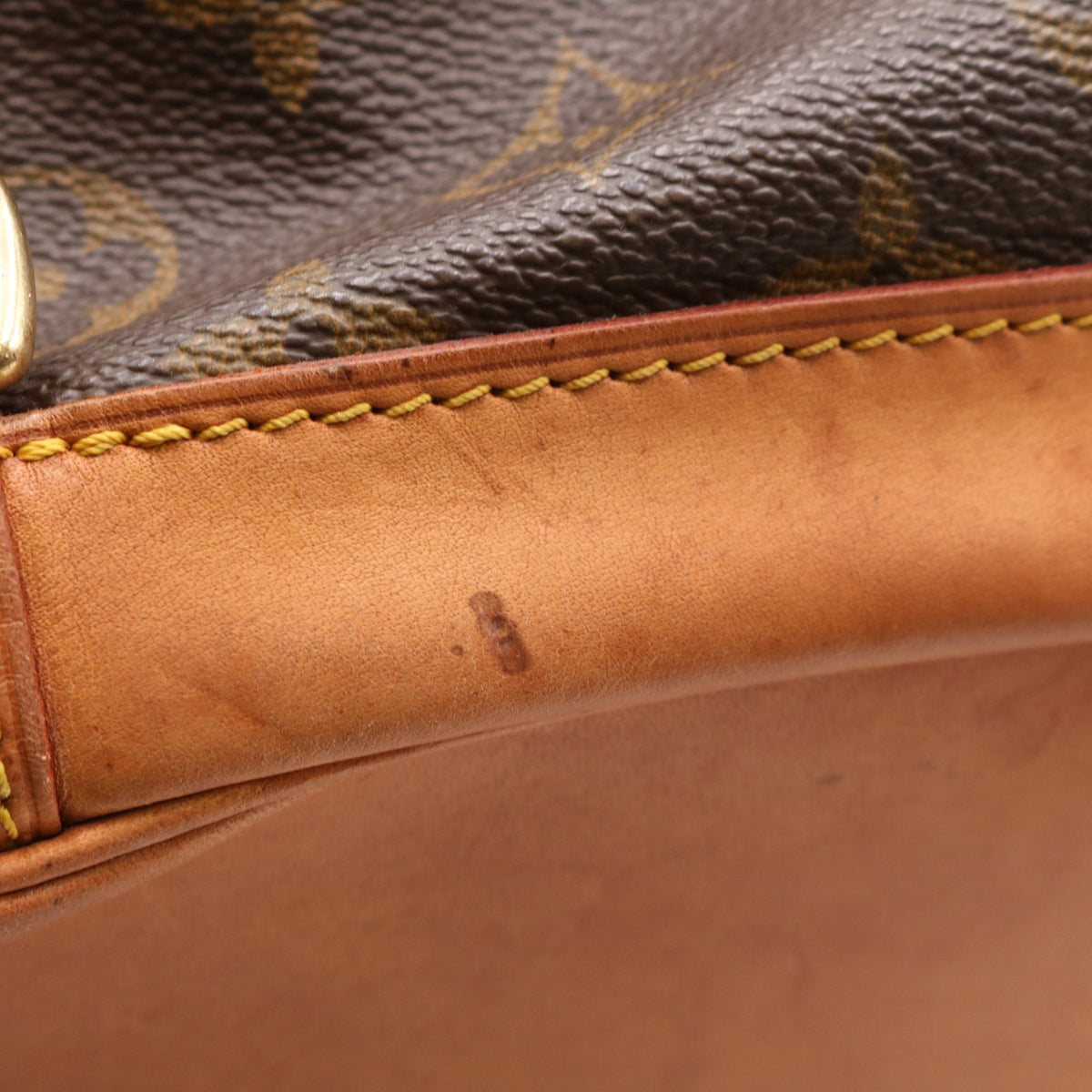 Monogram Montsouris MM M51136 Backpack Brown