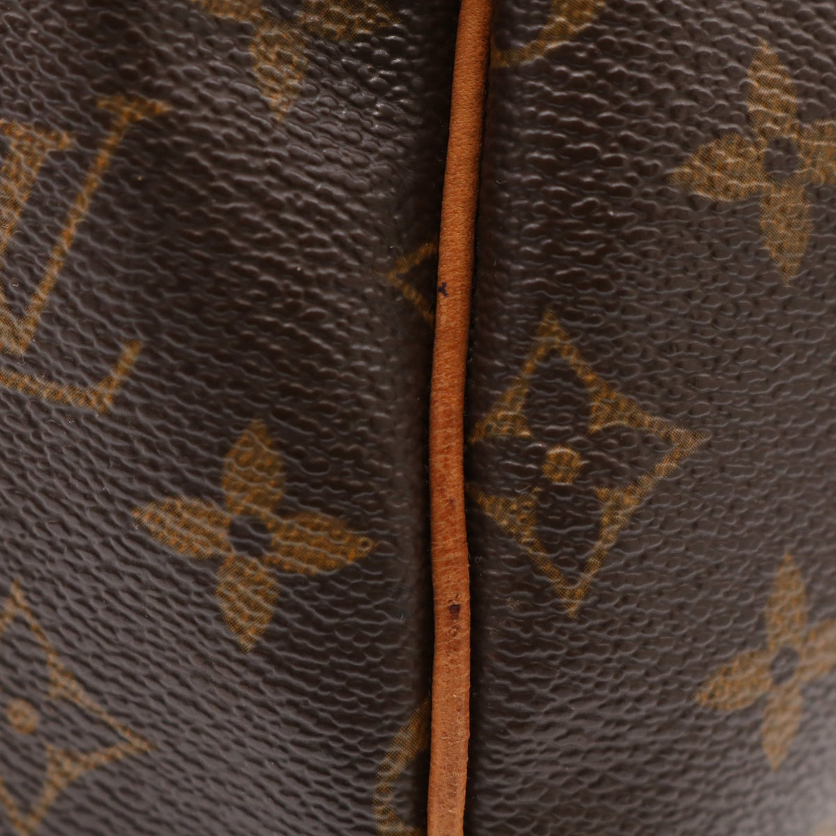 Monogram Speedy 30 M41526 Satchel/Top Handle Bag Brown